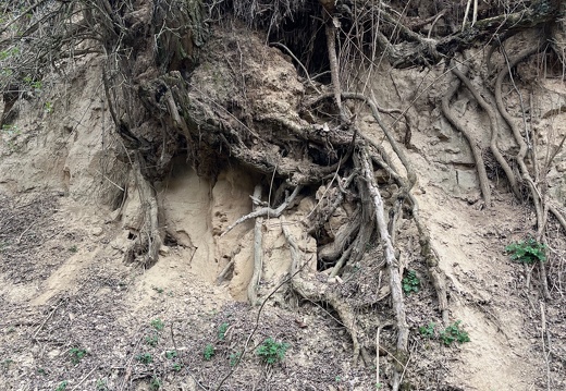 20220325073945-4e1852de